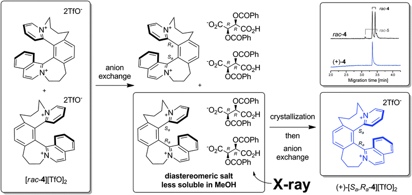 Resolution procedure for [rac-4][TfO]2 and the corresponding CE traces showing two peaks for [rac-4] ditriflate and a single peak for the isolated (+)-[Sa,Ra-4] ditriflate after resolution. See ESI for further details.