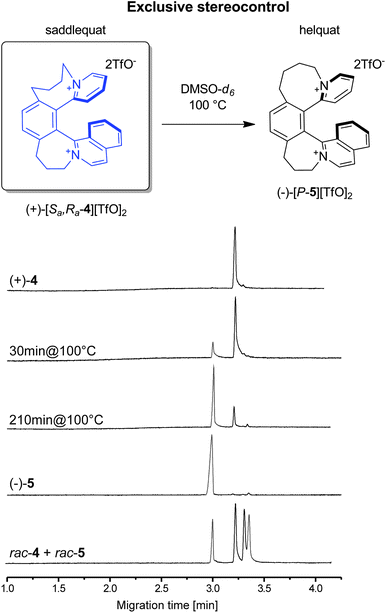 Chiral CE monitoring confirms complete stereocontrol in the transformation of saddlequat (+)-[Sa,Ra-4][TfO]2 to helquat (−)-[5][TfO]2 at 100 °C, as evidenced by the exclusive production of a single enantiomer of [5]. Bottom CE trace: reference mixture of [rac-4] and [rac-5]. See ESI for details.