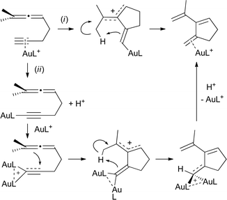 Monaurated (i) vs. diaurated (ii) mechanistic proposals for the gold(i)-catalyzed cycloisomerization of 1,5-enynes involving diaurated species.