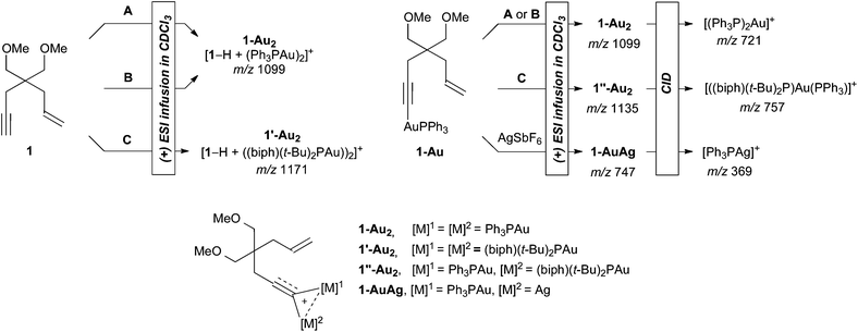 The identification of dinuclear species (biph = biphenyl-2-yl, CID = Collision Induced Dissociation).
