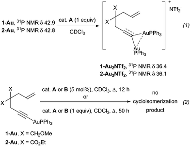 The reactivity of gold acetylide derivatives.