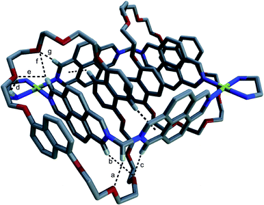 Capped sticks projection of the crystal structure of catenane 3 (DN38C10)2·6OTf·2PF6 showing [C–H⋯O] (a–c, e–g) and [N–H⋯O] (d) bonds. [H⋯O] and [C⋯O] or [N⋯O] distances and [C–H⋯O] angles: a 2.21, 3.12 Å, 152°; b 2.22, 3.12 Å, 153°; c 2.91, 3.78 Å, 157°; d 2.54, 3.32 Å, 143°; e 2.52, 3.12 Å, 121°; f 2.50, 3.42 Å, 164°; g 2.37, 3.31 Å, 168°. Solvent molecules, counterions and remaining hydrogen atoms are omitted for clarity. Colour scheme: C, grey; O, red; N, blue; H, light grey; Pd, yellow.
