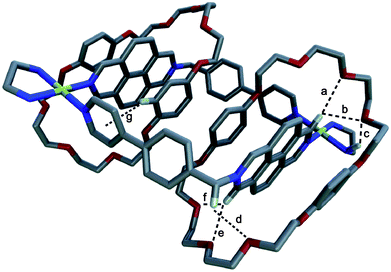 Capped sticks projection of the crystal structure of 6a(BPP34C10)2·6OTf. Solvent molecules, counterions and hydrogen atoms not involved in hydrogen bonding are omitted for clarity. Colour scheme as in Fig. 2.