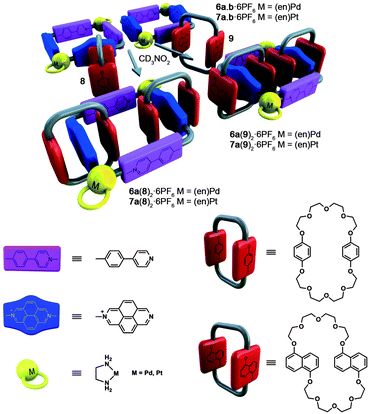 Regioselective self-assembly of catenanes 6a(8,9)2·6PF6 and 7a(8,9)2·6PF6.