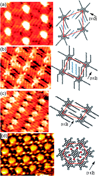 
            STM images of the four phases observed for HBC-C12 on Au(111) with models of the molecular structure. (a) The initial first metastable phase, which evolves rapidly into the second phase (b). Heating to 30 °C transforms the second phase into the third phase (c). Above 35 °C, the final and thermodynamically most stable phase appears (d). See ref. [43]. Reproduced and adapted with permission from the American Chemical Society.