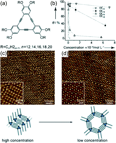 (a) The chemical structure of alkoxylated dehydrobenzo[12] annulenes. (b) Surface coverage θ dependence of the honeycomb structure on DBA concentration. Low concentrations favor the honeycomb polymorph. (c) STM image and molecular model of the linear structure. (d) STM image and molecular model of the honeycomb structure. See ref. [25]. Reproduced and adapted with permission from Wiley-VCH Verlag GmbH & Co. KGaA.