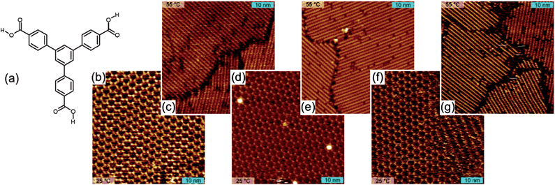 (a) The chemical structure of BTB. (b–g) Successively recorded STM images of BTB monolayers at the nonanoic acid/graphite interface at various temperatures. (b) The hexagonal porous structure at room temperature. (c) The row structure at about 55 °C. A new cooling to room temperature results in the hexagonal polymorph (d). Repeated heating and cooling cycles are depicted in (e) to (g). See ref. [47]. Reproduced and adapted with permission from the American Chemical Society.