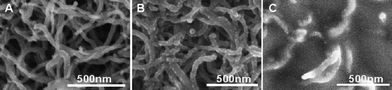 SEM images of (A) GCE/PDCNT, (B) GCE/PDCNT/Au–GSH and (C) GCE/PDCNT/Au–GSH/Con A.
