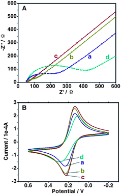 (A) Electrochemical impedance spectra (EIS) and (B) cyclic voltammograms (CVs) on (a) bare GCE, (b) GCE/PDCNT, (c) GCE/PDCNT/Au–GSH and (d) GCE/PDCNT/Au–GSH/Con A of 2.5 mM Fe(CN)63−/4− in 10 mM PBS (pH 7.4, containing 0.10 M KCl).