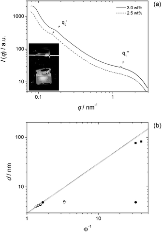 
              SAXS data for TA16So9 and TA16So10. (a) Scattering curves for 2.5 and 3.0 wt% TA16So9 samples showing the reflections for the swollen lamellar phase (at q2′) and the concentrated one (at q1′′). At 2.5 wt% the latter is absent. The insert shows the weak static birefringence observed for the 2.5 wt% sample. (b) Swelling curves for TA16So9 (full circles, Lα′′; squares, Lα′) at 25 °C and TA16So10 (empty circles) at 40 °C. Using ρ = 1, the data are fit to δ = 3.0 nm. From the biphasic samples at Φ−1 = 3.33, the limits of the collapsed phase are estimated at 59 wt% for TA16So9 and 60 wt% for TA16So10.