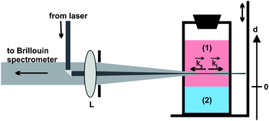 Schematic view of the backscattering geometry and the cuvette on the scanning stage. (1) Upper DETA compartment, (2) bottom compartment containing DGEBA or the freshly prepared epoxies EP(100/5) or EP(100/10); k⃑i and k⃑s: wave vector of the incident and scattered laser light, L: lens, d: vertical axis fixed to the cuvette coordinate system with origin at the initial phase boundary between both compartments. Cuvette dimensions: 1 × 1 × 4 cm3.