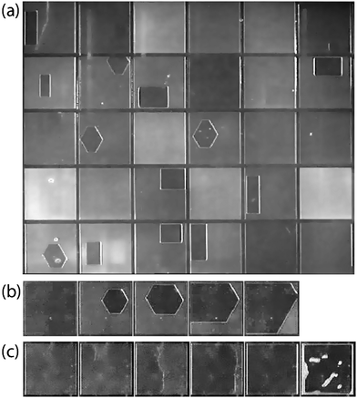 Snapshots from measurement. (a) shows a view of the whole sample area during a measurement on a plain PE sample. (b and c) show the typical progress of collapse on a sample with straighter and more sloped sidewalls respectively.