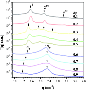 The SAXS profiles of the dendriplexes with the dendrimer dp values ranging from 0.1 to 0.9. The arrows mark the observable scattering peaks.