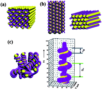 The schematic illustrations of the three types of nanostructure. (a) The square columnar phase formed at dp < 0.3. (b) The hexagonally-packed DNA superhelices structure formed at dp = 0.3∼0.5. (c) The chromatin-like beads-on-string structure formed at dp ≥ 0.6; P and d correspond to the pitch length and the axial interparticle distance of the nucleosome-like particles, respectively. The figure on the right shows the actual picture of the chromatin-like segment generated for calculating the SAXS curves.