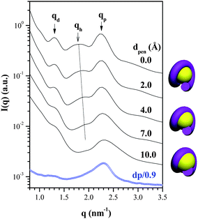 A comparison of the SAXS profile of the dp/0.9 complex with the calculated scattering curves of the chromatin-like fibers with different penetration depths (dpen) of DNA into the dendrimer. The schemes beside the figure illustrate the nucleosome-like units with different DNA penetration depths.