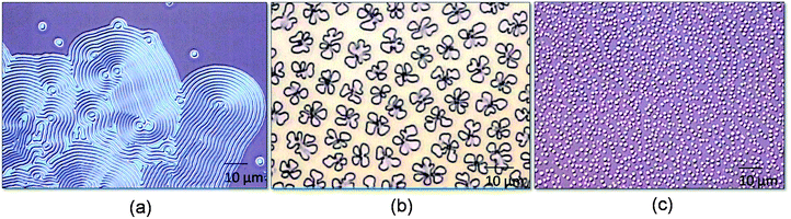 Some unexpected and special features resulted from TDL. (a) The pattern looks like a cloud, local parallel stripes and partial concentric circles, observed in the polymer film which are mechanically confined under a compressive stress, like NIL. (b) and (c) show the characteristic flowers and pillars patterns, which are called viscous fingers, and are drawn from the featureless margin of the mask during TDL.