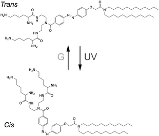 Chemical formula of KAON12.