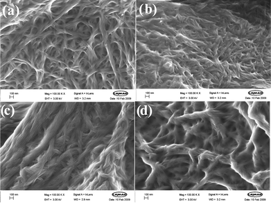 
            Scanning electron microscopy images of xerogels dried from DCB. (a) G3, (b) G3′, (c) G7, and (d) G11. A higher degree of fibre aggregation is evident for G7 and G11 than for G3 and G3′. In each image the scale bar represents 100 nm.