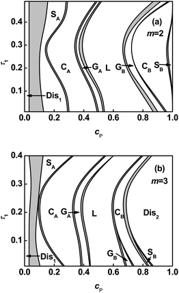 Phase diagrams in τ1–cP space for ABgraft copolymers with m = 2 (a) and m = 3 (b) in solution. The ordered regions are denoted as S (body-centered cubic spheres), G (bicontinuous gyroid), C (hexagonally packed cylinders), and L (lamellae). The subscripts A and B in S, G, and C denote that the minority domains of ordered structure are formed by A and B blocks, respectively. The notes Dis1 and Dis2 refer to solvent-rich disordered phase and polymer-rich disordered phase, respectively. The light gray regions represent the region of two phase coexistence (2Φ).