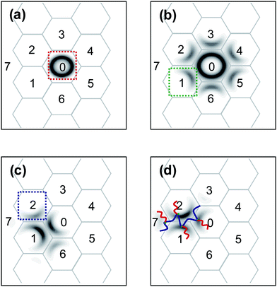 Density plots of the first junction distributions that confined to a particular minority B domain (a), the second junction distributions (b) with the first junction confined in the domain (0) marked with the red frame shown in (a), the third junction distributions (c) with the second junction confined in the domain (1) marked with the green frame shown in (b), and the forth junction distributions (d) with the third junction confined in the domain (2) marked with the blue frame shown in (c) for a cylindrical structure at m = 4, cP = 0.48, and τ1 = 0.1. In (d), a possible conformation that the backbone links four different domains is sketched.