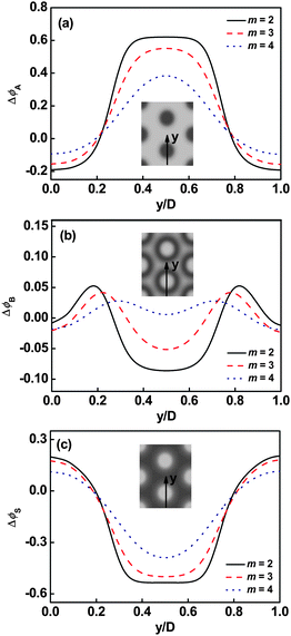 Deviation of volume fraction profiles Δϕ for A blocks (a), B blocks (b), and Ssolvent (c) on a cross section of the cylindrical phase marked with an arrow in the inset at τ1 = 0.1 and cP = 0.3. The inserts show the two-dimensional density distributions of A backbone (a), B graft arm (b), and Ssolvents (c). The colors ranging from black to gray in the inserts represent the densities from higher to lower.