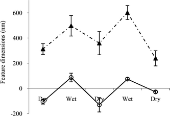 The height (○) and diameter (▲) of the surface features (either pits or protrusions) imaged on the surface of polymer composed of 75% (v/v) monomer 16 and 25% (v/v) monomer A after repeated wet-dry cycles. Error bars represent one standard deviation unit, n = 20.