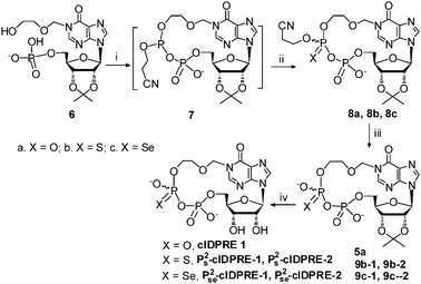 A Novel Membrane Permeant Cadpr Antagonist Modified In The Pyrophosphate Bridge Chemical Communications Rsc Publishing