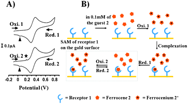 Characterization Of The Mixed Self Assembled Monolayer At The Molecular Scale Chemical Communications Rsc Publishing