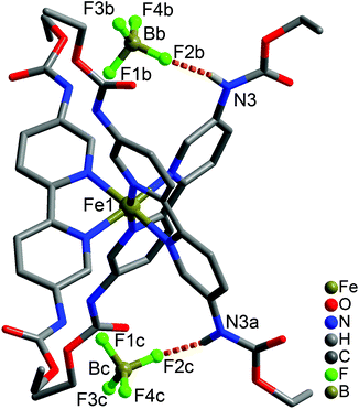 Anion Binding By Metallo Receptors Of 5 5 Dicarbamate 2 2 Bipyridine Ligands Dalton Transactions Rsc Publishing