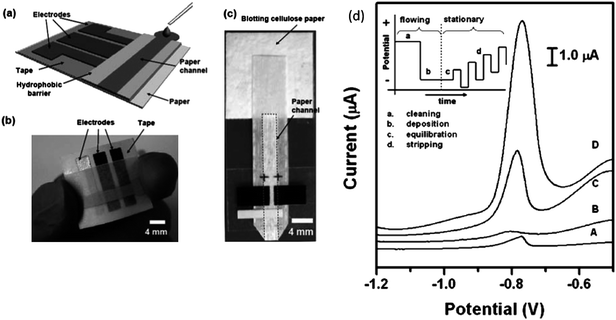 (a) Schematic of a paper-based electrochemical sensing device. The sensor comprises three electrodes printed on a piece of paper substrate (or plastic) and a paper channel. The paper channel was in conformal contact with the electrodes, and was held in place by double sided adhesive tape surrounding the electrodes. A photograph of a paper-based electrochemical sensing device for the analysis of glucose (b), and a hydrodynamic paper-based electrochemical sensing device for the measurement of heavy-metal ions (c). The device consists of two printed carbon d) Square-wave anodic stripping voltammograms for 25 ppb solution of Pb(ii) in 0.1 M acetate buffer (pH 4.5) in the presence of 25 ppb Zn(ii): (A) a 100 μL solution placed directly on the electrodes; (B) a 100 μL solution added to the stagnant μPEDs (without a pad of blotting paper as sink); (C and D) a solution of analytes continuously wicking the paper channel of the hydrodynamic μPEDs. The deposition time was 120 s (A, B, C) or 360 s (D). The SWASV was performed in the potential range of −1.2 to −0.5 V under optimized conditions: frequency, 20 Hz; amplitude, 25 mV; potential increment, 5 mV; equilibration time, 30 s. Deposition was performed at −1.2 V; ‘cleaning’ was performed at +0.5 V for 60 s. A bismuth(iii) concentration of 500 μg L−1 was chosen for the co-deposition of heavy-metal ions. Inset shows the schematic of the four steps of the square-wave anodic stripping voltammetry. Reprinted from Nie et al.