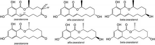 The chemical structures of zearalenone (ZEN), 7α-hydroxy-zearalenol (α-ZOL), 7β-hydroxy-zearalenol (β-ZOL) and their 11–12 reduced analogs: zearalanone (ZAN), 7α-hydroxy-zearalanol (α-ZAL), and 7β-hydroxy-zearalanol (β-ZAL). *The active hydrogen.