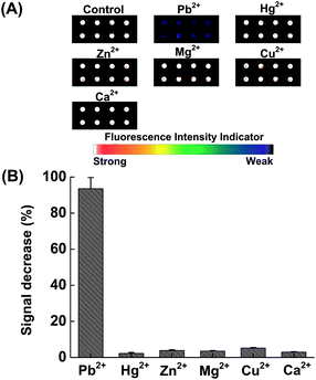 (A) Scanometric images of the microarray in the presence of various metal ions. (B) Relative fluorescence change (%) as a function of various metal ions. 10 μM of each metal ion was incubated with the sensor at 4 °C for 1 h.
