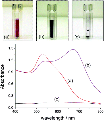 
          UV-Vis spectral evolution for the aggregation of azide-tagged AuNPs (ca. 2.16 pM) in the presence of Cu2+ (50 μM) and DEB (30 mM). (a) Reaction time of 1 min; (b) 15 min; (c) the assay after an extended period of time (>8 h) allowing a black solid to precipitate.