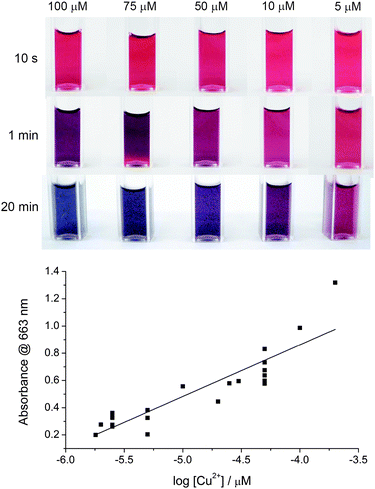 Calibration data. (a) Photographs as a function of time for azide-tagged AuNPs after ligation in the presence of DEB and different concentrations of copper ions, and (b) the assay calibration curve. Absorbance in (b) was monitored at 663 nm after 20 min from the addition of Cu2+ to the assay mixture.