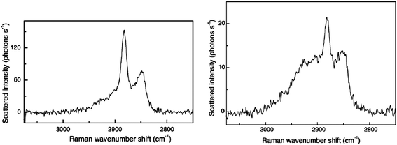 
          TIR
          Raman spectra from the epicuticular wax layer of a leaf. (a) Crystalline wax of the top layer and (b) amorphous wax below the crystalline wax. Reprinted from ref. 85, Copyright (2005), with permission from Elsevier.