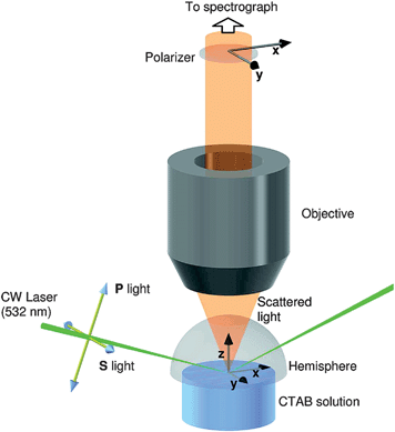 Schematic of the sample, incident light and collection optics in the TIR Raman spectrometer at Durham University. The directions of the electric field vectors for the available polarisations of incident and collected light are also shown. Reprinted with permission from ref. 29. Copyright 2008 American Chemical Society.