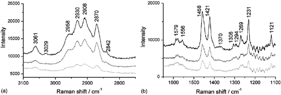 
          TIR
          Raman spectra of a 5 mM 1 : 1 mixture of 2-mercaptobenzothiazole and dibutyl dithiophosphate adsorbing onto sphalerite. Spectra are shown at 5 min (light grey line), 15 min (dark grey line) and 25 min (black line). (a) the CH stretching region and (b) the fingerprint region. Reprinted from ref. 35, Copyright (2006), with permission from Elsevier.