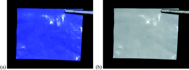 Photographs of a section of extruded O2-indicating plastic film (a) before photoactivation and (b) after 90s exposure to UVA with 4 mWcm−2 irradiance.