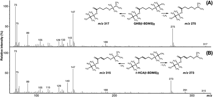 
            Mass spectra of GHB(t-BDMS)2 (A) and t-HCA(t-BDMS)2 (B) and chemical structures of the respective derivatives with corresponding qualifier ions.
