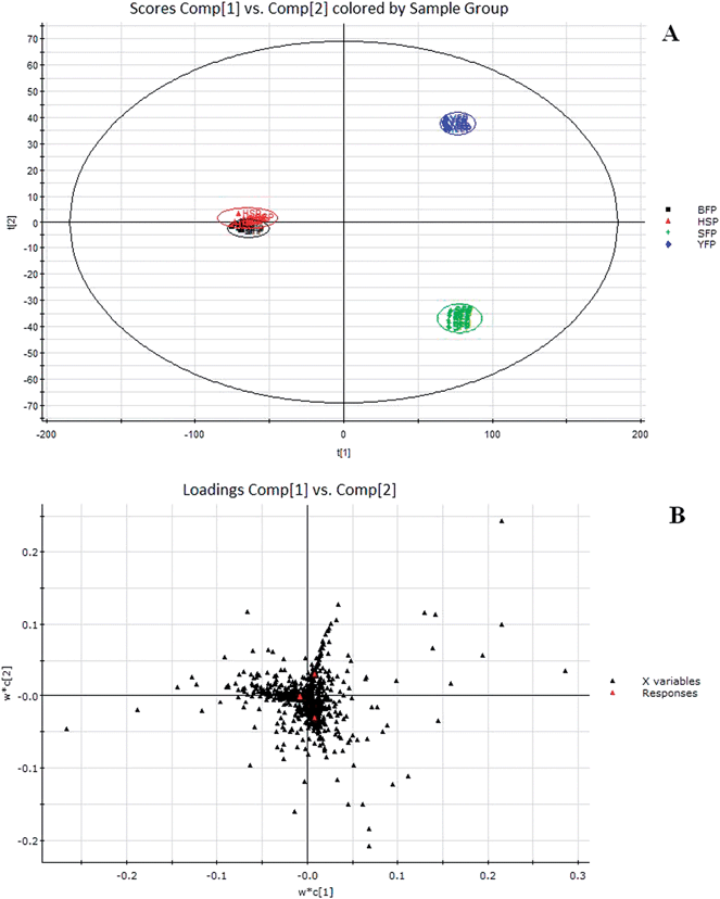 
            PCA score plots of Fuzi and its processed products by UPLC-HDMS in positive ESI mode (A) and corresponding PLS-DA analysis (B) for biomarker recognition. SFP, Fuzi; YFP, Yanfuzi; HSP, Heishunpian; BFP, Baifupian.