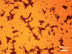 
            Microscope image of Avicel (106–150 μm fraction) showing the anisotropic character of the particles (magnification factor of ×150).