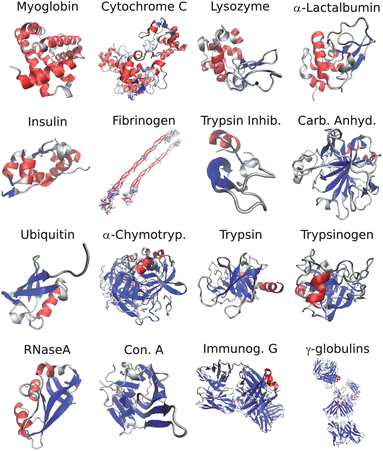 PDB Structures of the proteins used for SVD analysis. α-helix and β-sheet structures are colored in red and blue respectively. The proteins are arranged in order of increasing β-sheet contents as calculated by the DSSP program.