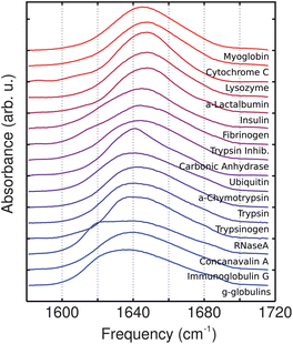 Amide-I linear absorption spectra. Peaks are normalized to the area in the 1580 to 1720 cm−1 and vertically offset for clarity.