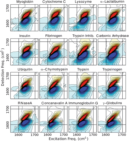 Correlation 2DIR spectra of the proteins acquired in the perpendicular polarization geometry. Contours are plotted from ±50% of the maximum amplitude in 4% intervals and spectra are arranged in order of increasing β-sheet content (see Fig. 1).