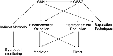 glutathione detection methods A validated method to assess glutathione peroxidase enzyme activity |  Chemical Papers main image 1