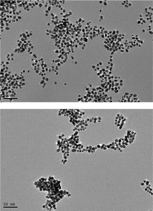 Bare gold nanoparticles as facile and sensitive colorimetric probe 