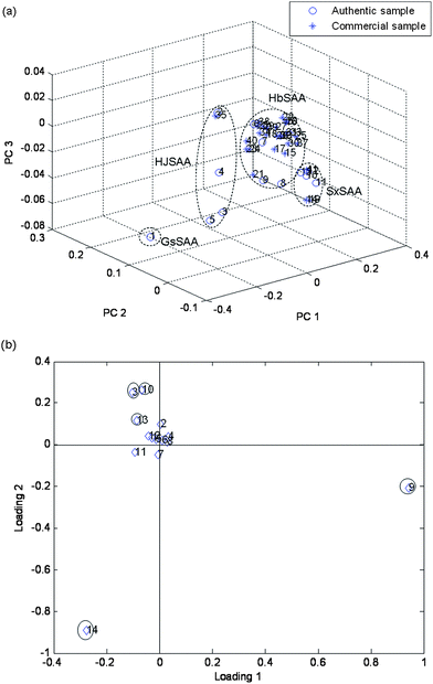 Scores and loadings plot for 41 samples, using peak areas of 14 main components as input data. (a) 3D projection of two principal components (scores plot). GsSSA, (No. 1); HJSAA, (No. 2–5 and No. 35); HbSAA, (No. 6–9, No. 15–18, No. 20–34 and No. 36–40); SxSAA, (No. 10–13, No. 14, No. 19 and No. 41). (b) Corresponding loading plot No. 1–14 are peak 1–peak 14.