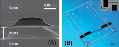 Examples of (A) a SEM image from the transversal section of the glass channel sealed by a thin PDMS layer, and (B) optical micrograph of a three layer PMMA device with integrated Pt electrodes for C4D. Figures (A) and (B) were reprinted, with permission, from ref. 45 and 47, respectively.