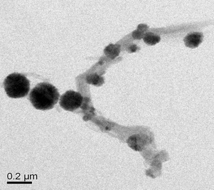 TEM images of the MWCNT-MNP composite.