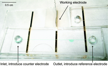 Microfluidic chip with gold electrodes used for electropolymerisation.